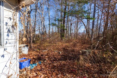 501 Booker St, Asheville, NC 28803 - photo 4