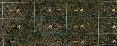 0 Dill Rd unit MFRO6234212, Orlando, FL 32820 - photo 2