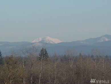 3 Volcano Rd, Napavine, WA 98532 - photo 3