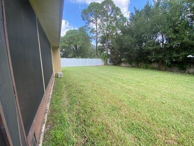 back yard
