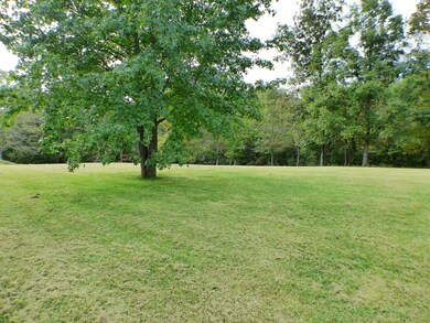 P1040078