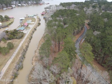 0 Pine Tree Rd unit 4107804, Pachuta, MS 39347 - photo 5