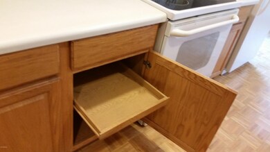 PULL OUT SHELFS
