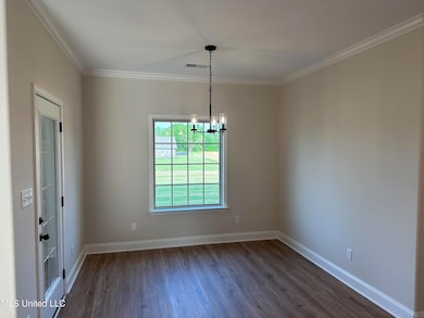 687 Lucas Ln, Hernando, MS 38632 - photo 5