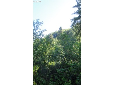 0 Miami Foley Rd unit 16504420, Nehalem, OR 97131 - photo 6