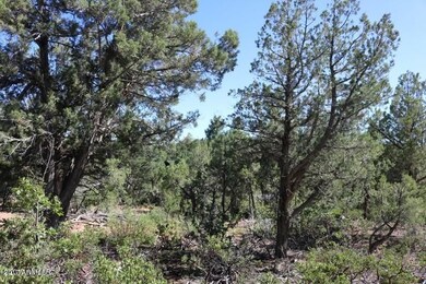 3260 Snowberry Loop