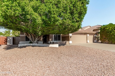 LUSH FICUAS SHADES THIS HOME