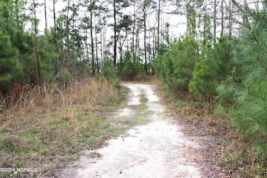 0 Cromartie Rd, Elizabethtown, NC 28337 - photo 7