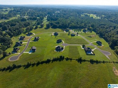 8406 Brooke Ln, Dora, AL 35062 - photo 4