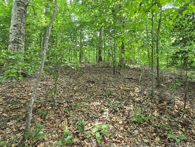 Interior of lot - road to lake view