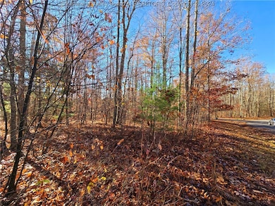 175 Rothfield Cir, Daniels, WV 25918 - photo 4