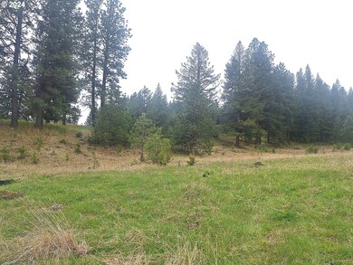 0 2s44 1600 Tl 902 unit 23676547, Enterprise, OR 97828 - photo 7