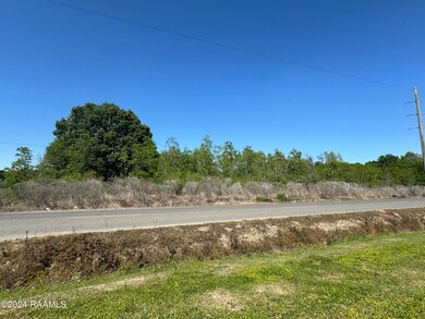 1237 Egan Hwy, Egan, LA 70531 - photo 3