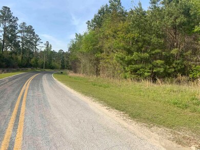 TBD McNeil Chapel Rd, Loris, SC 29569 - photo 7