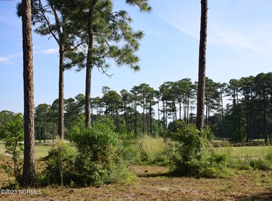 Pond View
