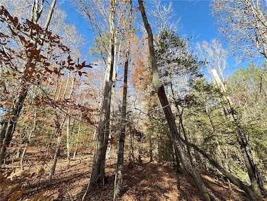 110 Watt Rogers Rd, Pelzer, SC 29669 - photo 5