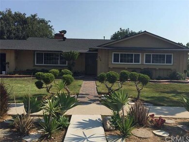 Drought friendly plants in the front.