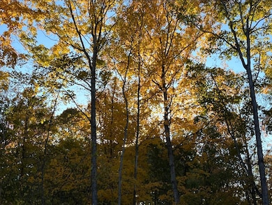 TBD Tbd, Mazeppa Township, MN 55956 - photo 3