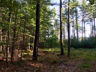 0 Poliquin Dr unit 46, Conway, NH 03818 - photo 5