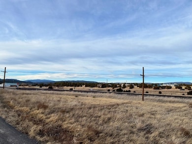 12 Metzger Dr, San Jose, NM 87565 - photo 3