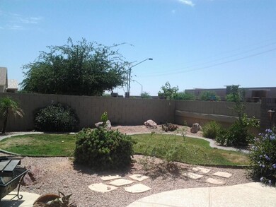 Backyard Thornton