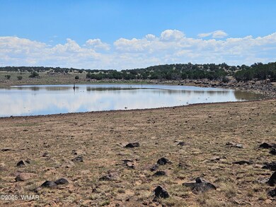 0 Cr 8637 Lots 195 & 196 unit 252871, Concho, AZ 85924 - photo 6