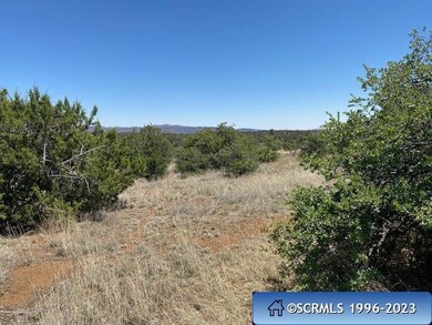 Tract B Hideaway Trail, Silver City, NM 88061 - photo 5