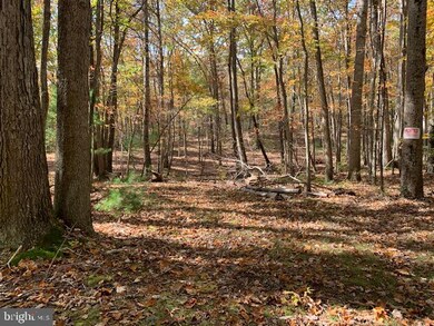 0 Barb unit VASH120806, Basye, VA 22844 - photo 6