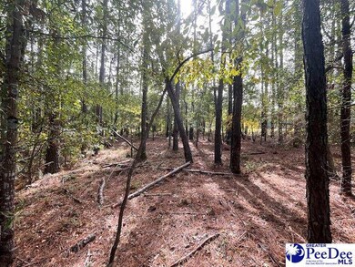 0 Center Point Rd, Chesterfield, SC 29709 - photo 6