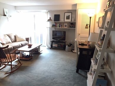 17 Healey St unit 201, Cambridge, MA 02138 - photo 6