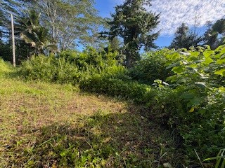 15-2714 Hou St, Hawaiian Beaches, HI 96778 - photo 7