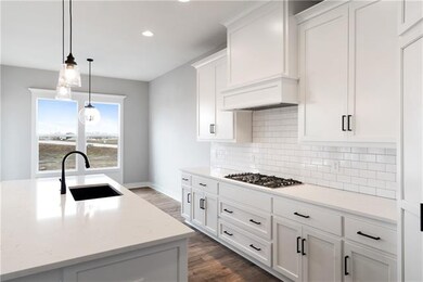 23504 W 90th St, Lenexa, KS 66227 - photo 4