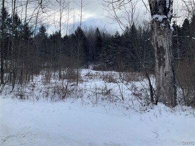 00 Curncross Rd, Smyrna, NY 13464 - photo 2