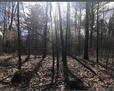 0 Ware St, Palmer, MA 01069 - photo 5