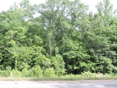 00 Mobile Rd, Greenville, AL 36037 - photo 5