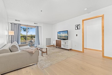 4845 W 123rd St unit 203, Savage, MN 55378 - photo 3