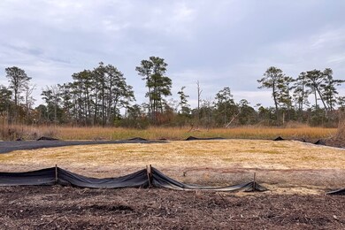 Lot 685 Bradley Ln unit 685, Chincoteague, VA 23336 - photo 6