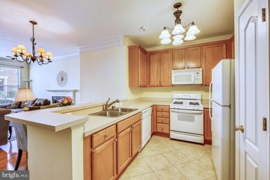 105 Bucksfield Rd unit A, Gaithersburg, MD 20878 - photo 7