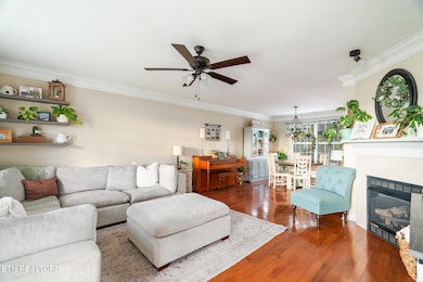 5301 Mattice Ln, Corryton, TN 37721 - photo 5