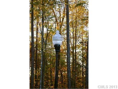 Other - Street Lights! Low HOA's! Wonderful School