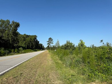 Off Straight Rd unit LotWP001, Oriental, NC 28571 - photo 7