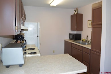 343 E 8th Ave unit 4, Durango, CO 81301 - photo 4