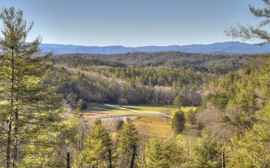 100 Burke Mountain View, Morganton, GA 30560 - photo 3