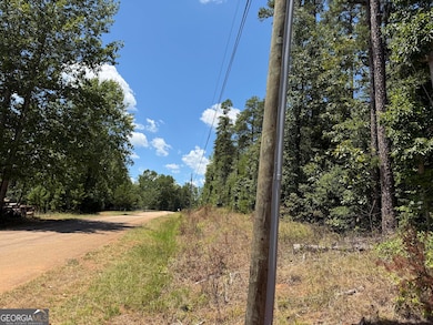 40 Tomahawk Trail, Martin, GA 30557 - photo 6