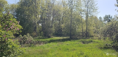 10010 219th Street Ct E, Graham, WA 98338 - photo 4