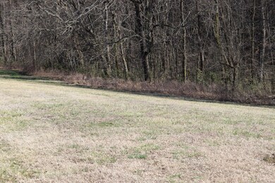 Lot 108 Cane Island Rd, Flippin, AR 72634 - photo 4