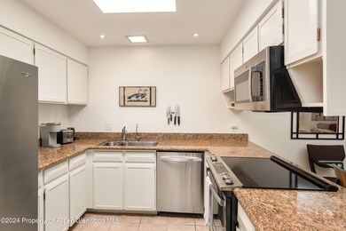 205 E Durant Ave unit 3-F, Aspen, CO 81611 - photo 4