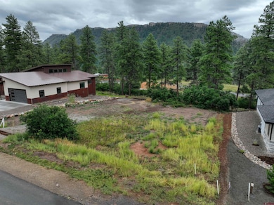 470 Edgemont Meadows Rd, Durango, CO 81301 - photo 2