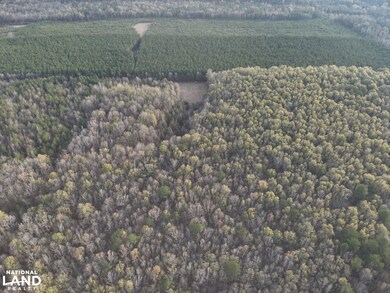 5600 Old Vinton Rd unit West Point MS 39773, West Point, MS 39773 - photo 4