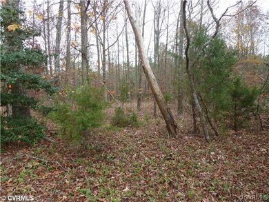 0 Spring Cottage Rd unit 1227520, Newtown, VA 23126 - photo 4